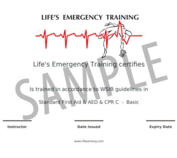 Blended First Aid Electronic Certificates