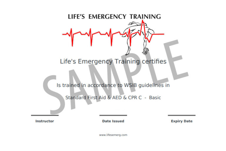 AB-NB-Blended First Aid Electronic Certificates